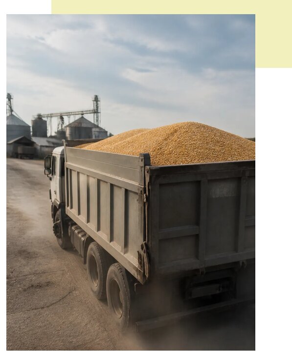 Перевозка сельхозпродукции навалом в Санкт-Петербург по цене от 3188 р. | Агросервис-Снк